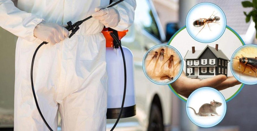 Çakmaklı Böcek İlaçlama