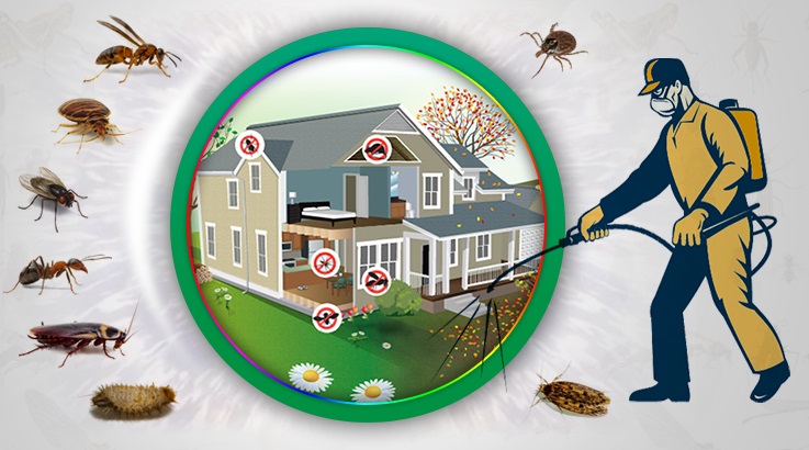 Çakmaklı Böcek İlaçlama